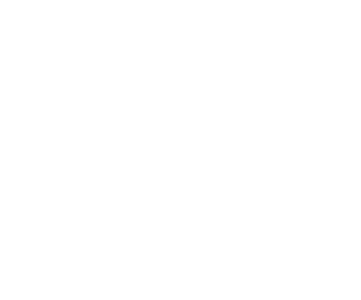 Velarizon